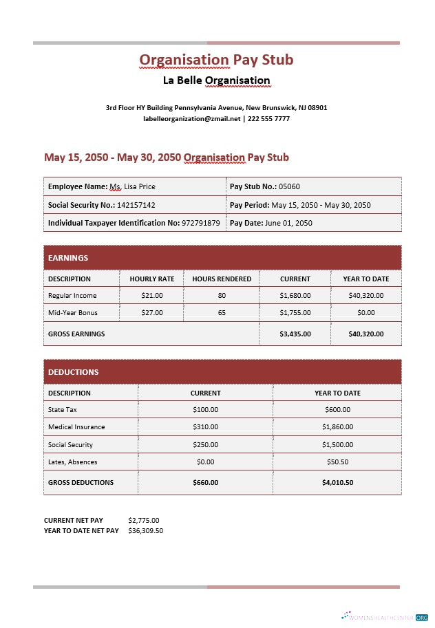 Download La Belle Organisation Paystub Word and PDF template Photoshop template